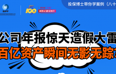 公司年報驚天造假大雷百億次產瞬間無影無蹤