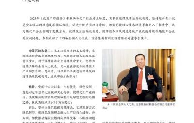 打破傳統(tǒng)走綠色轉型之路——訪十四屆全國人大代表、寶泰隆新材料股份有限公司董事長焦云